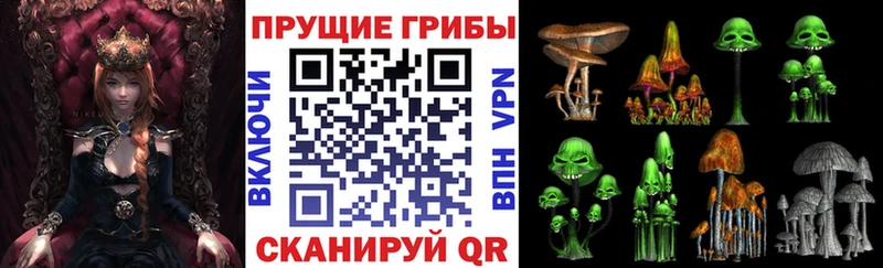 хочу наркоту  Алексин  Галлюциногенные грибы прущие грибы 